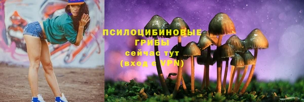 МДПВ Кулебаки