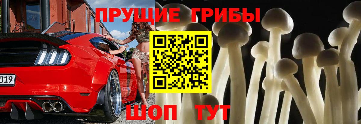 Псилоцибиновые грибы Psilocybe  Вход с VPN  Нальчик 